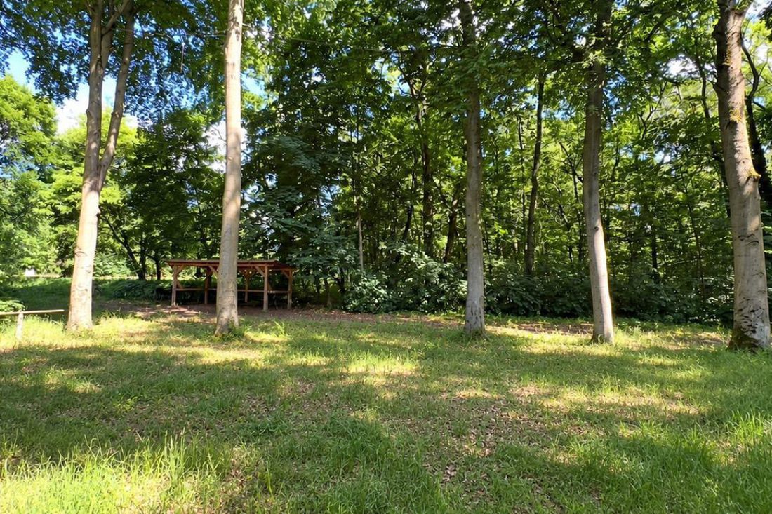 Der Übungsplatz: eine Lichtung im Wald, im Hintergrund der Unterstand